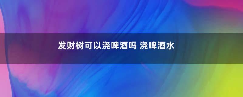 发财树可以浇啤酒吗 浇啤酒水正确方法